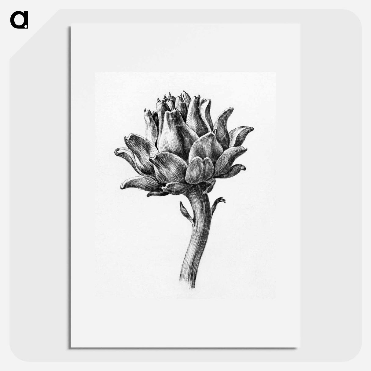 アートポスター-Artichoke - ジャン ベルナール Poster.