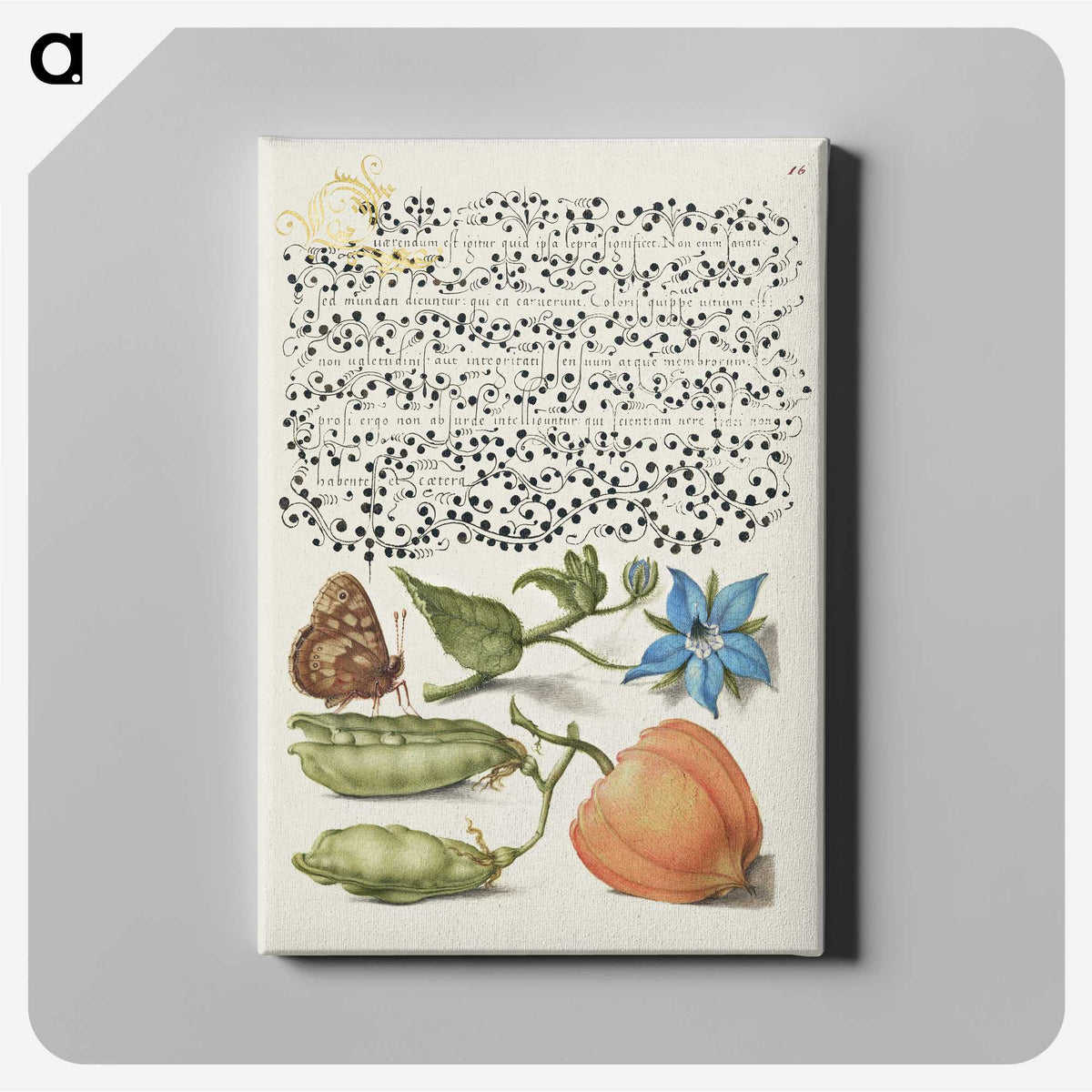 1-37_Joris-Hoefnagel_canvas