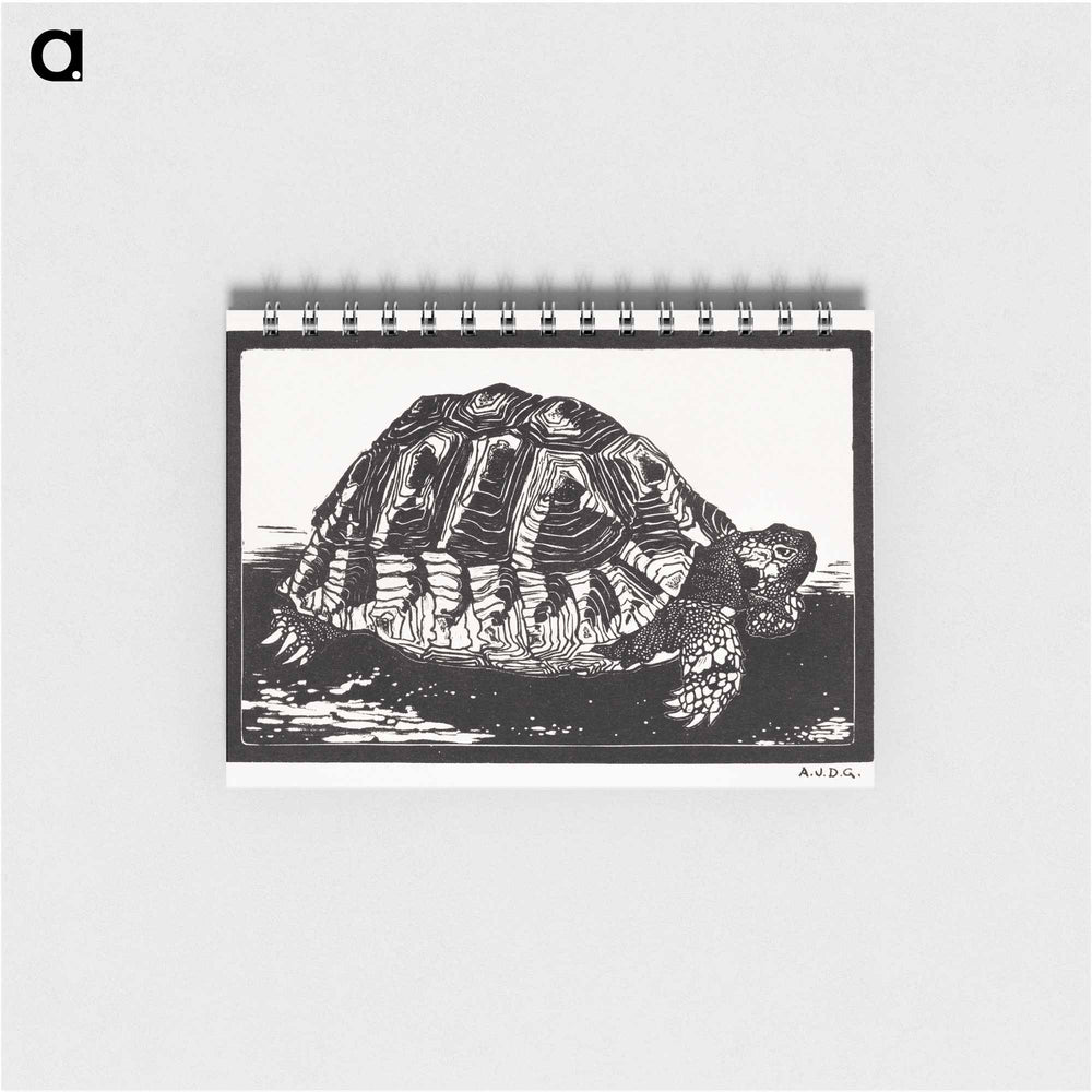 Turtle - ユリー デ フラーハ Memo.