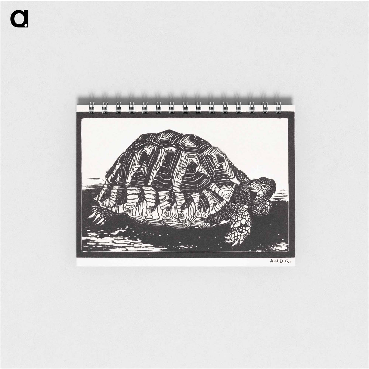 Turtle - ユリー デ フラーハ Memo.