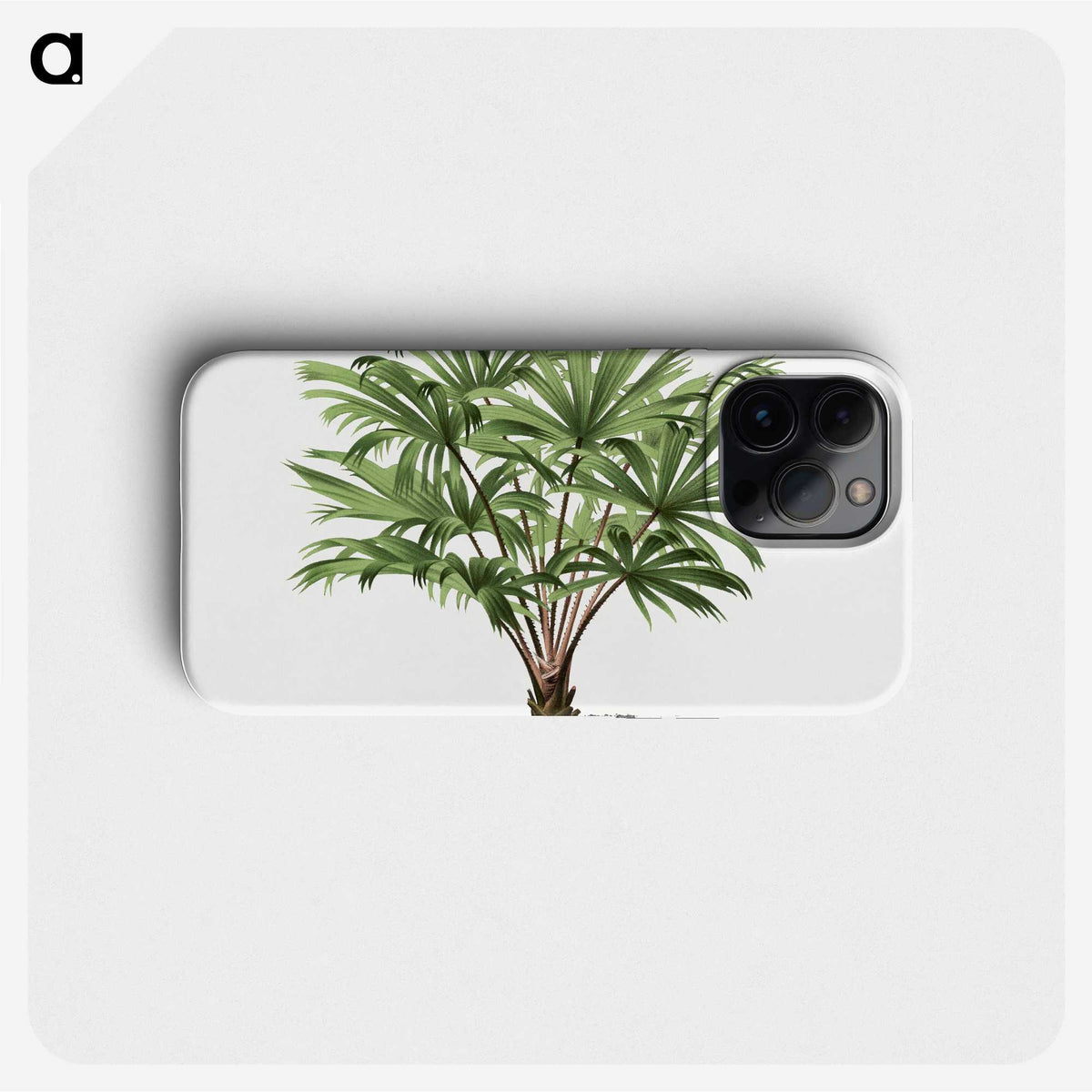 1-37_Les-Palmiers-Histoire-Iconographique_phone