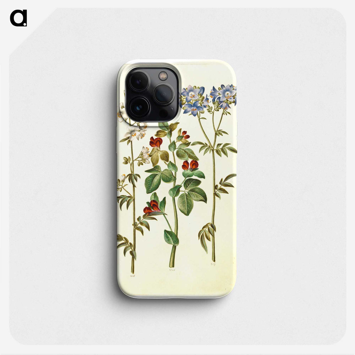 1-37_Maria-Sibylla-Merian_phone