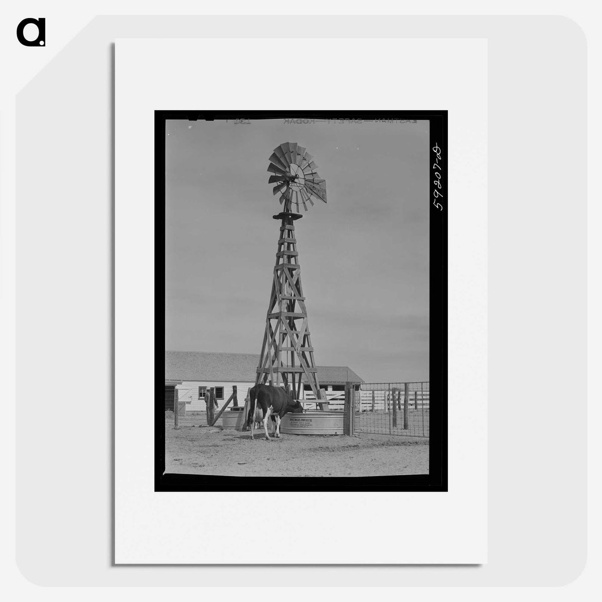 1-37_Marion-Post-Wolcott_picture