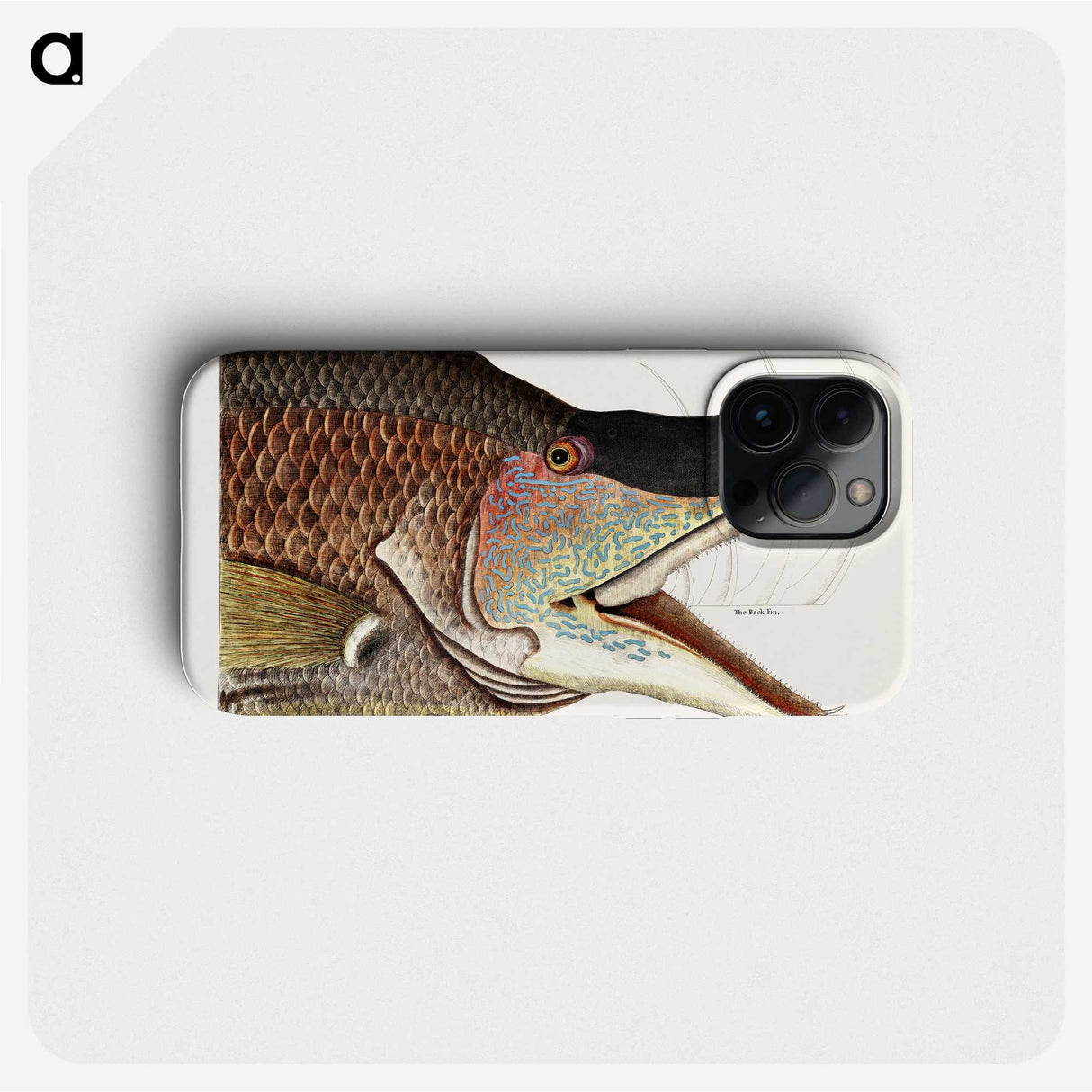 1-37_Mark-Catesby_phone
