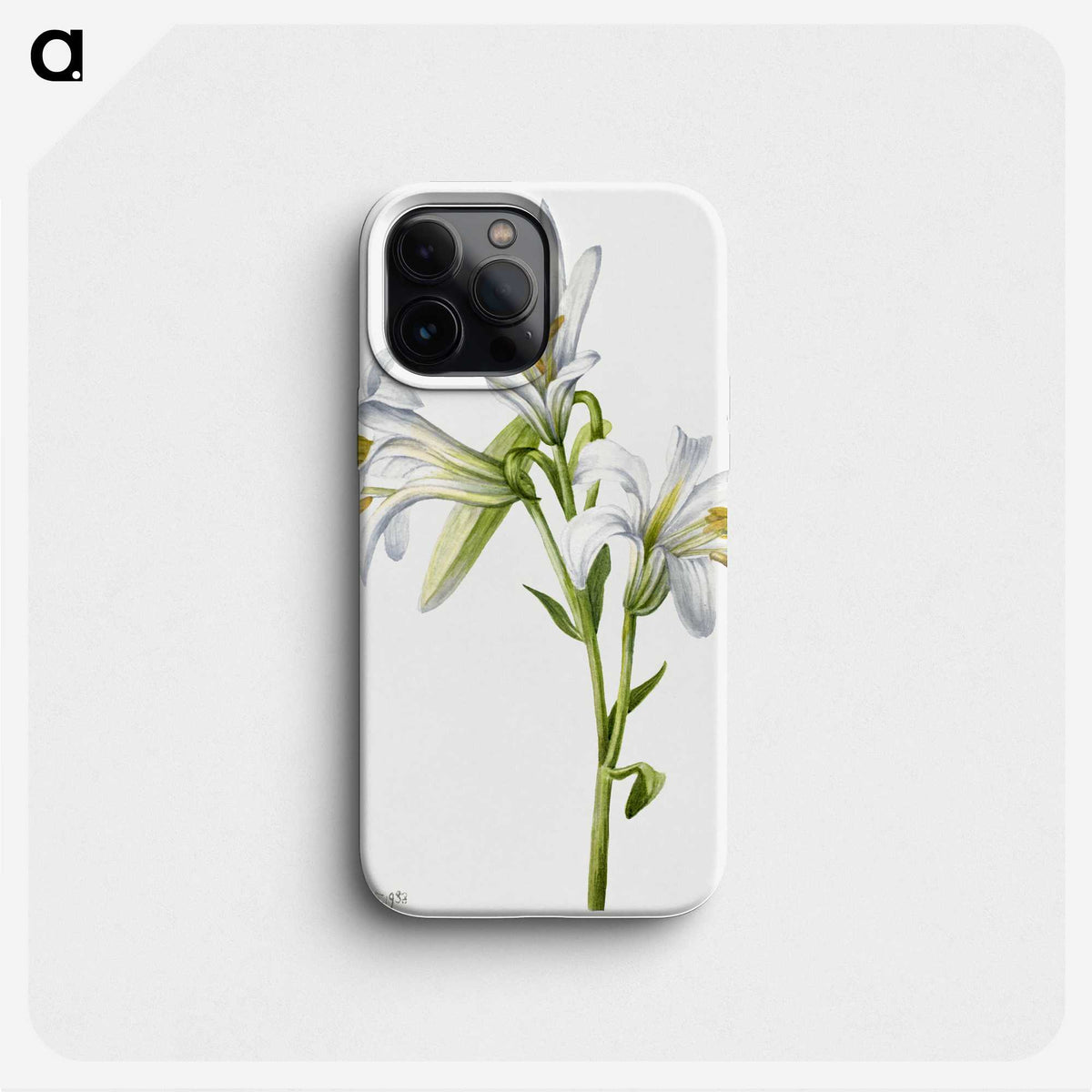 1-37_Mary-Vaux-Walcott_phone