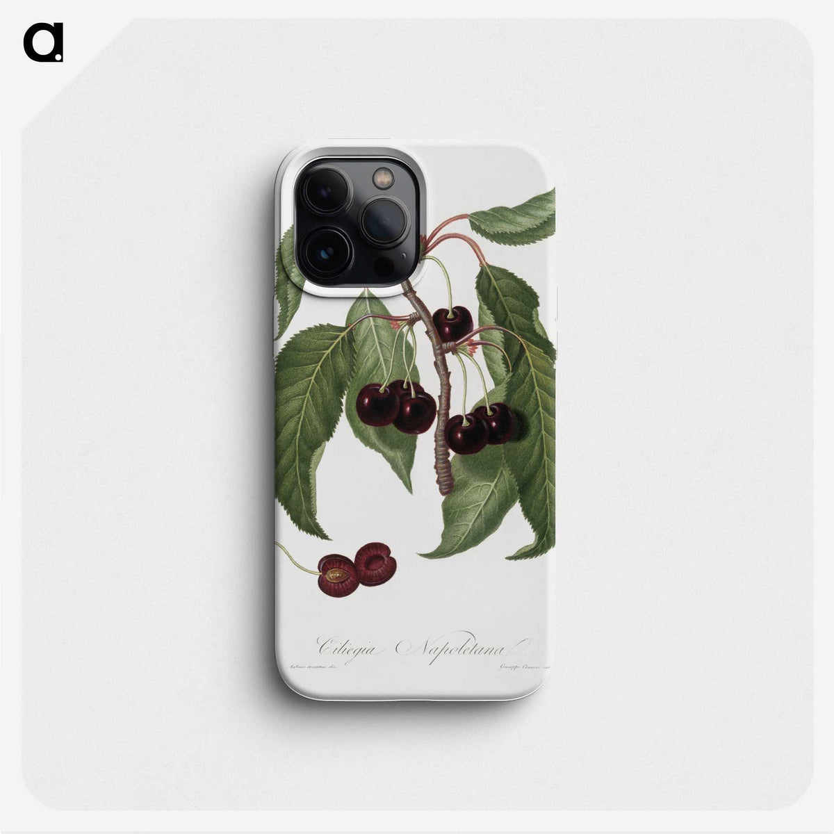 1-37_Pomona-Italiana_phone