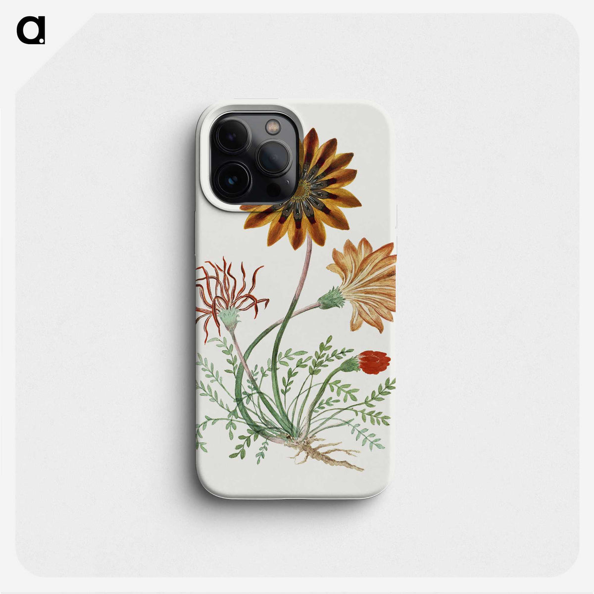 1-37_Robert-Jacob-Gordon_phone