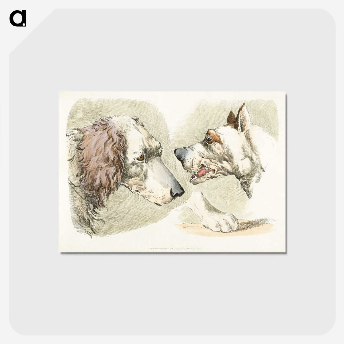 1-37_Sporting-Sketches_postcard