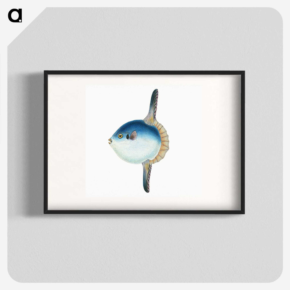 1-37_The-Natural-History-of-British-Fishes_blk