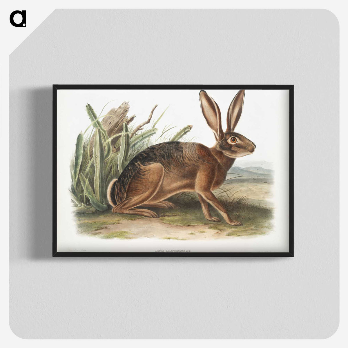 1-37_The-Viviparous-Quadrupeds_blk-crop
