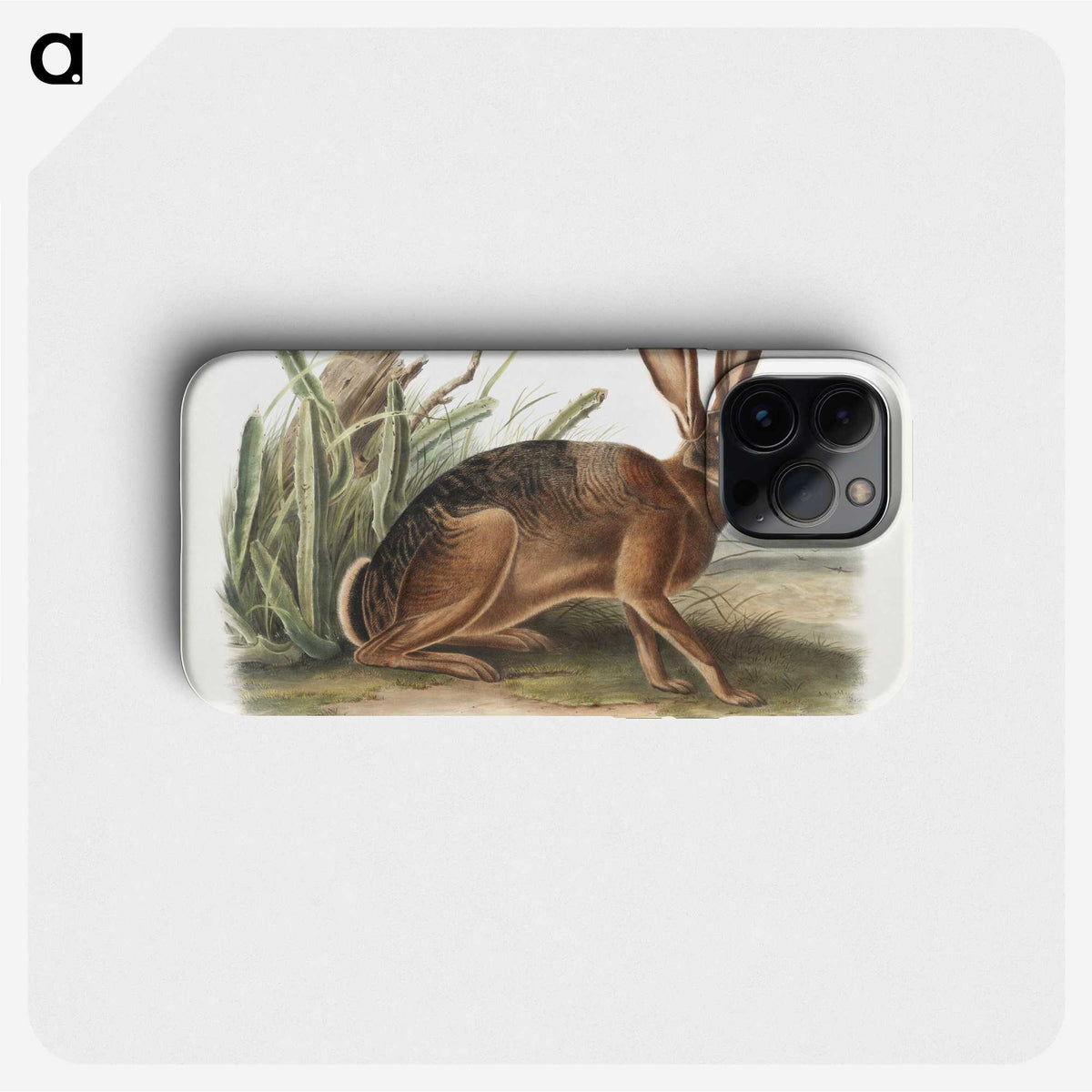 1-37_The-Viviparous-Quadrupeds_phone