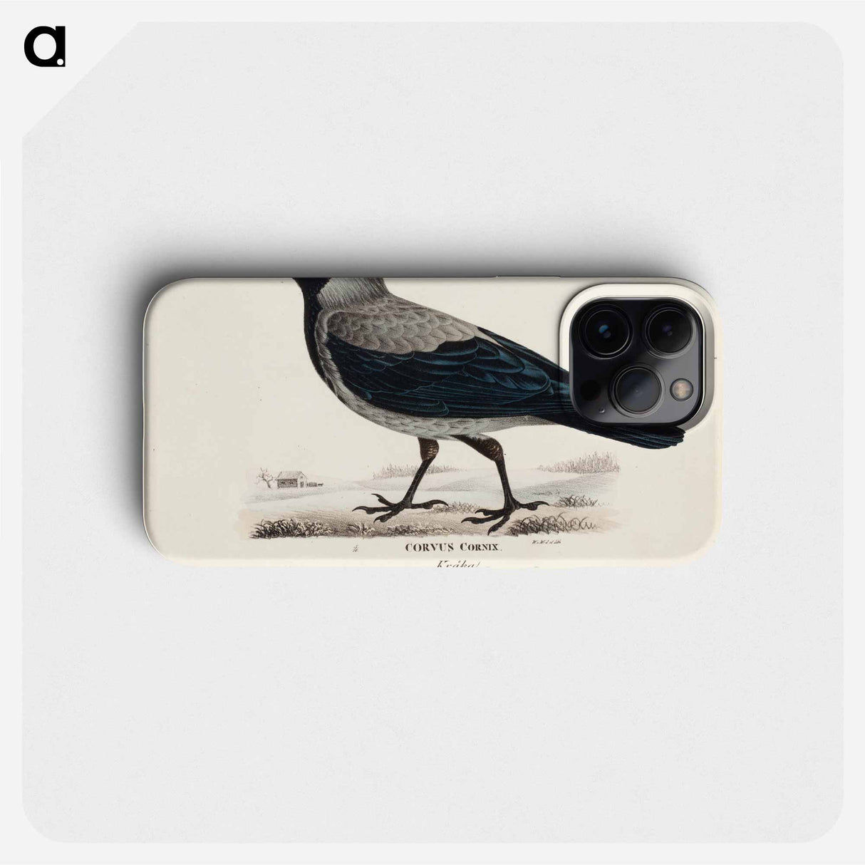 Hooded crow - Wilhelm von Wright Phone Case.