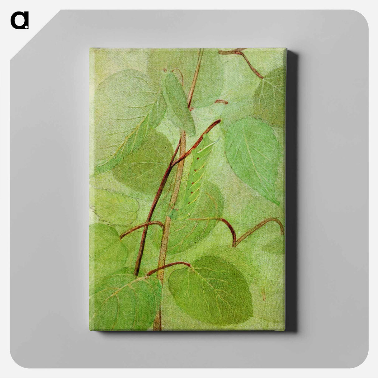 Sphinx Caterpillar - アボット ハンダーソン セイヤー Canvas.