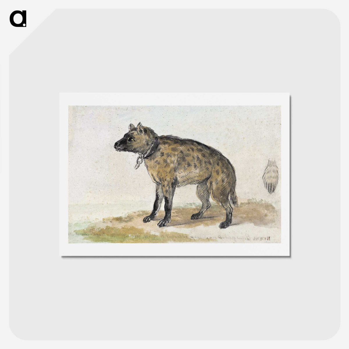 1-38_Aert-Schouman_hagaki