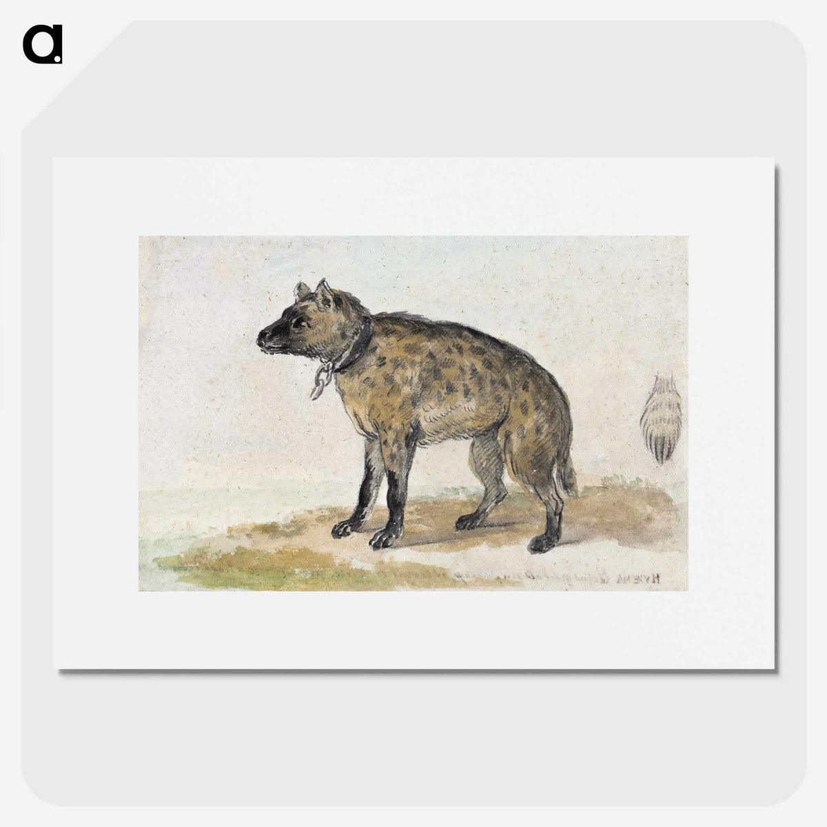 1-38_Aert-Schouman_picture