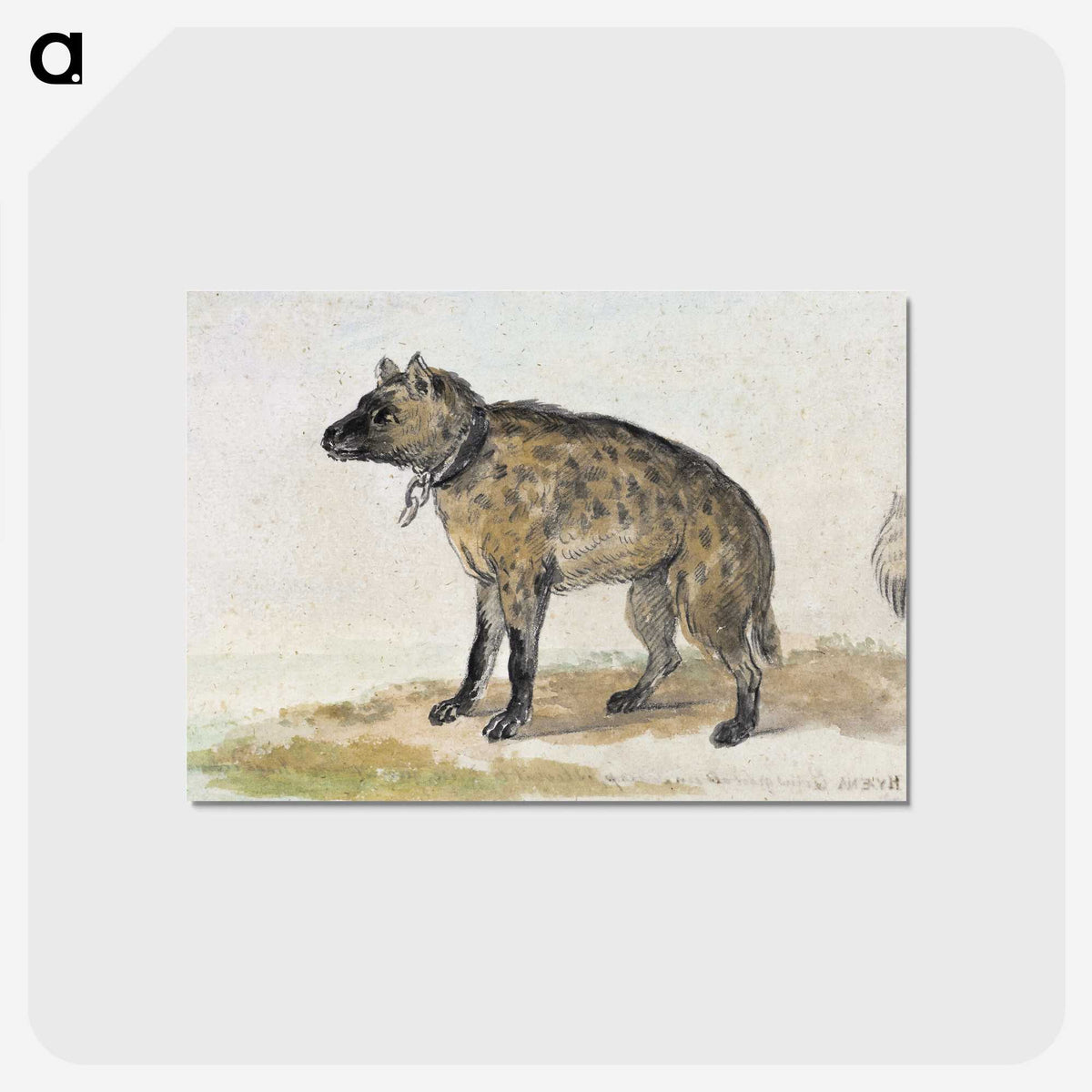 1-38_Aert-Schouman_postcard