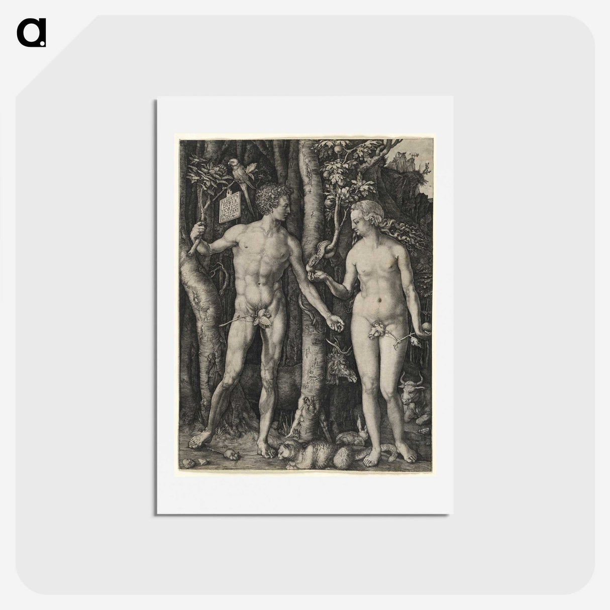 1-38_Albrecht-Durer_hagaki
