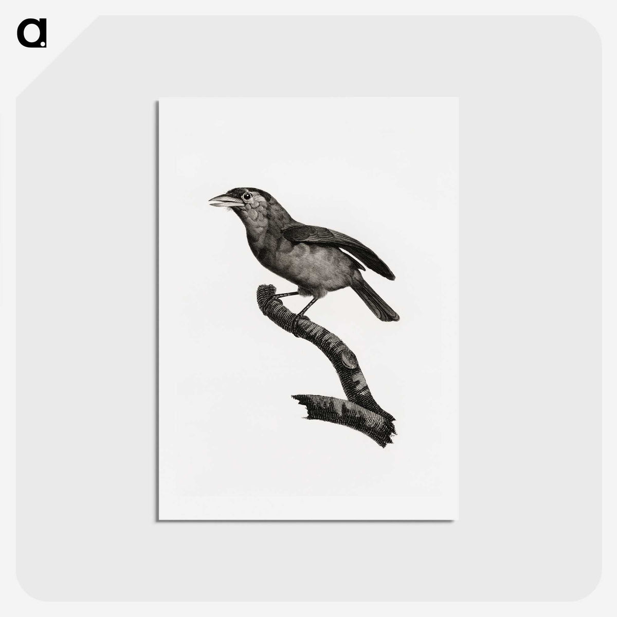 1-38_Des-Oiseaux-de-Paradis_hagaki