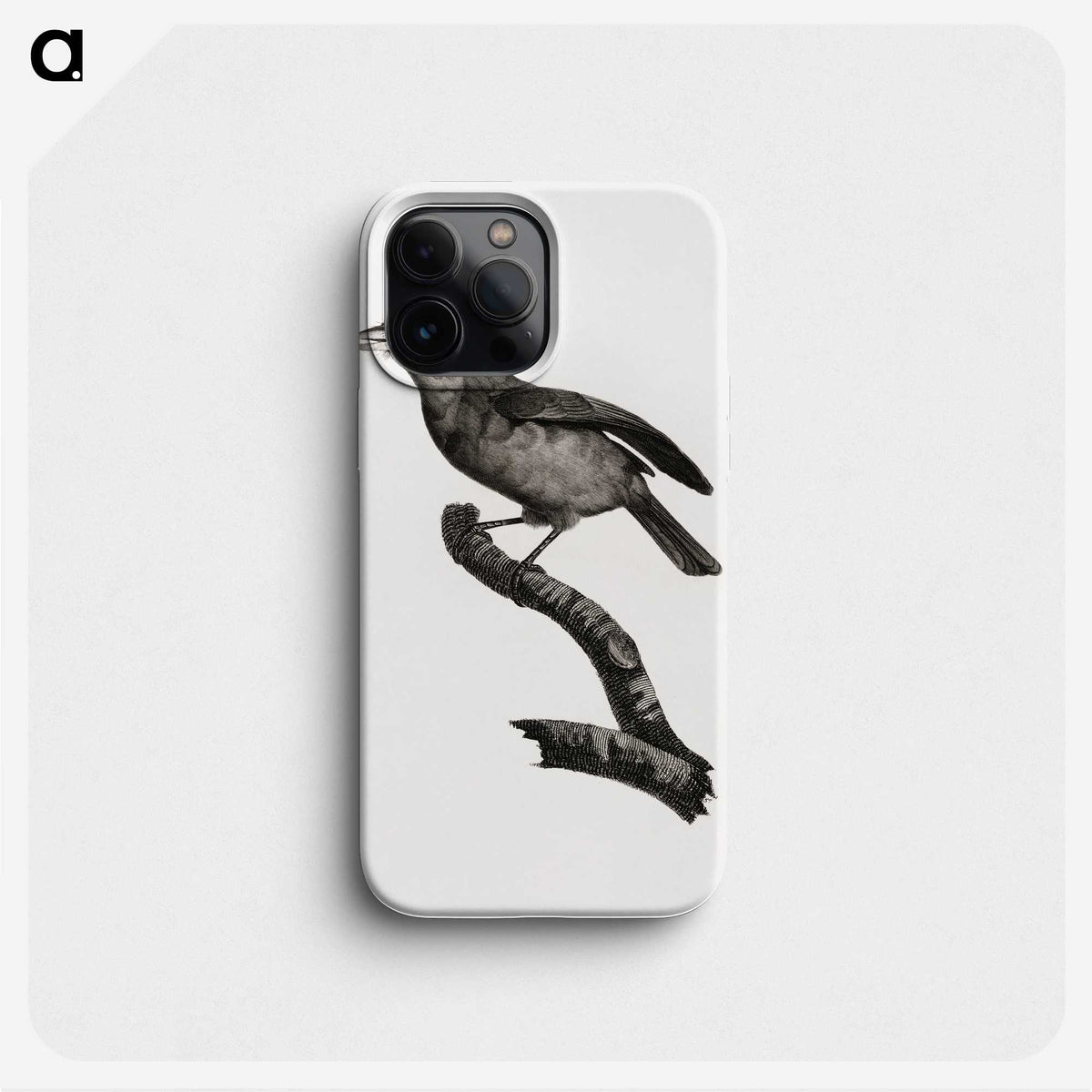 1-38_Des-Oiseaux-de-Paradis_phone