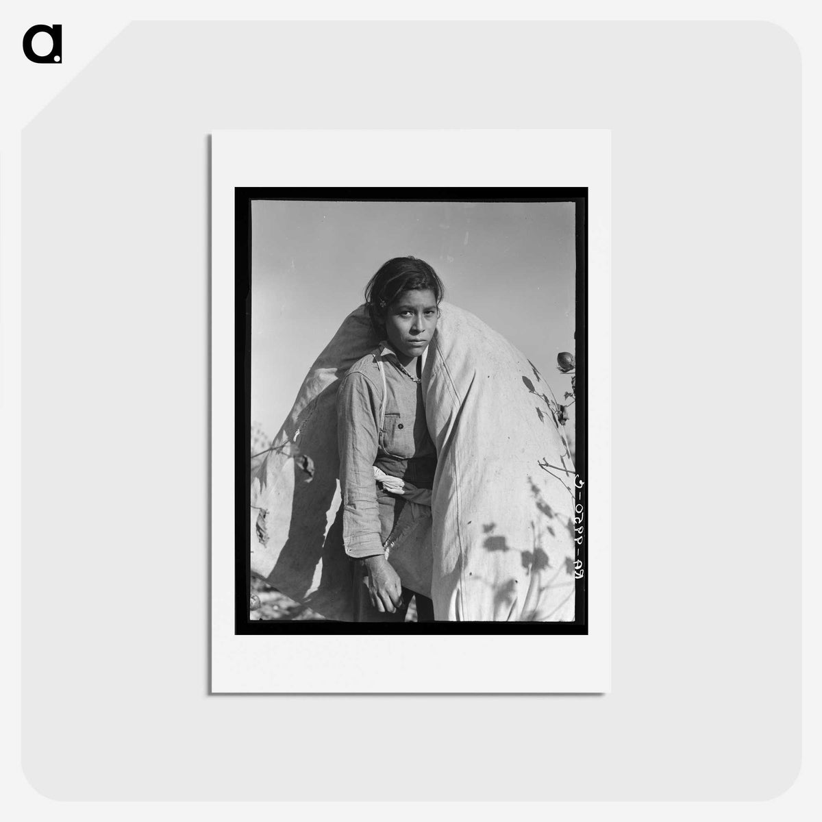 1-38_Dorothea-Lange_hagaki