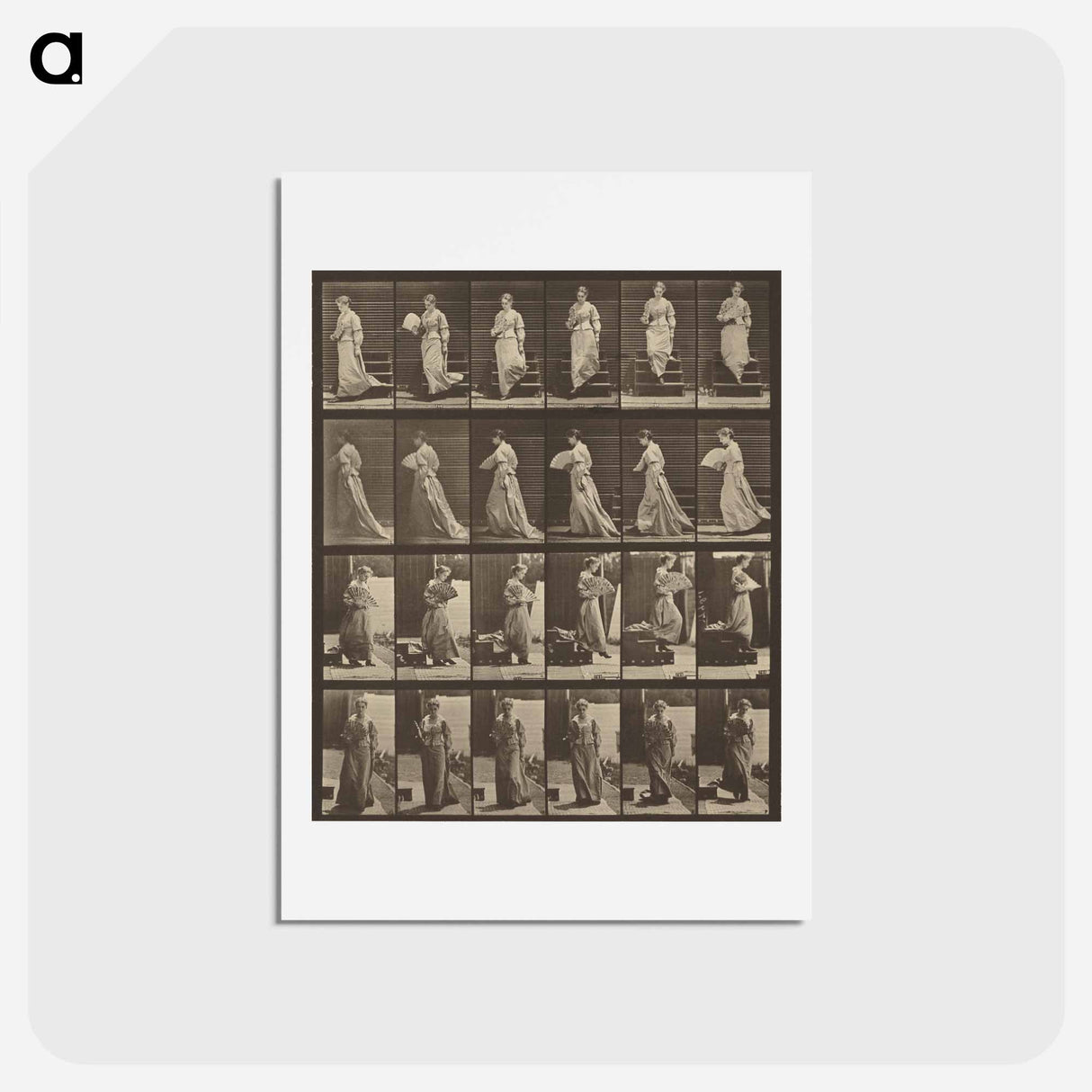 アートポストカード-Animal Locomotion
- エドワード マイブリッジ Postcard.