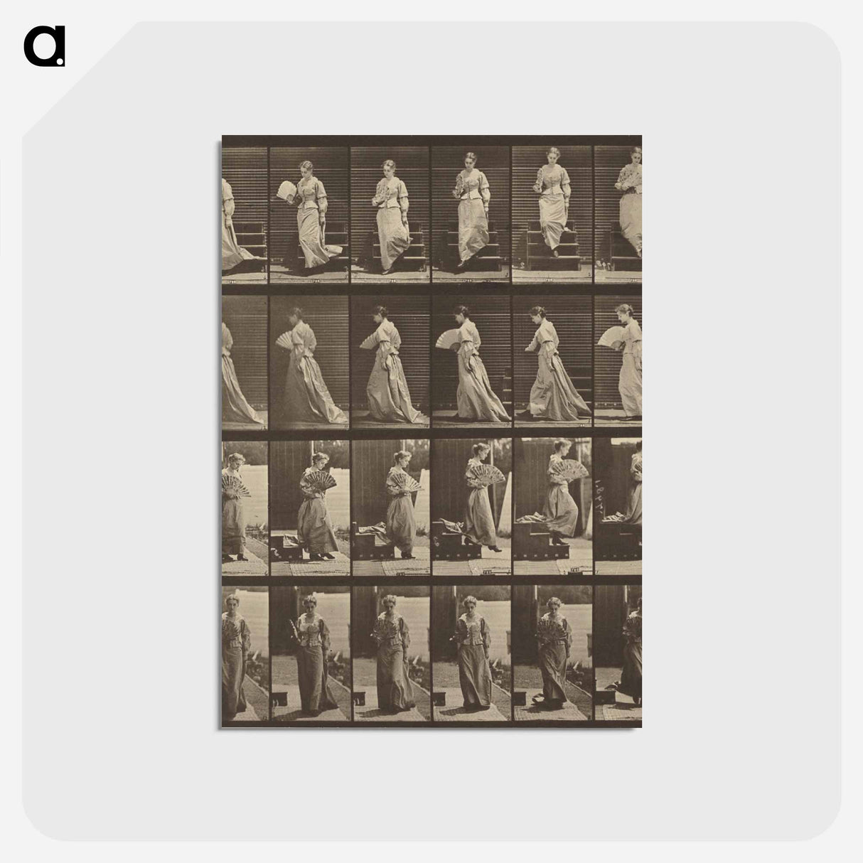 アートポストカード-Animal Locomotion
- エドワード マイブリッジ Postcard.