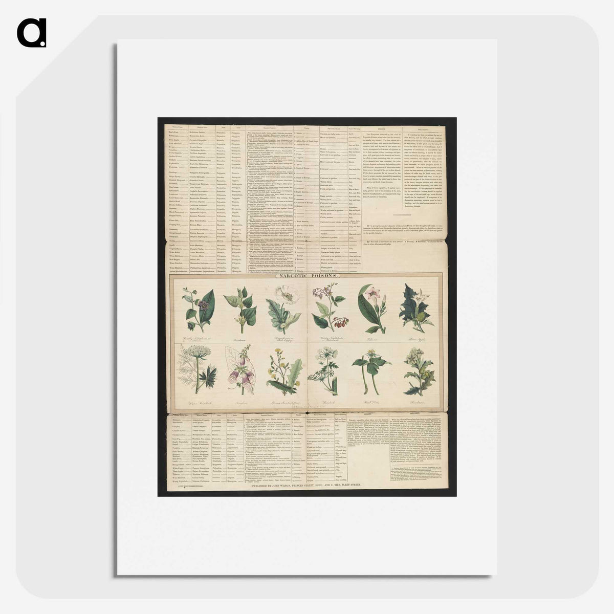 1-38_Education-Charts_picture