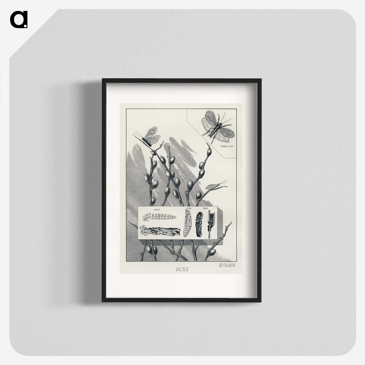 1-38_Favorite-Flies-and-Their-History_blk