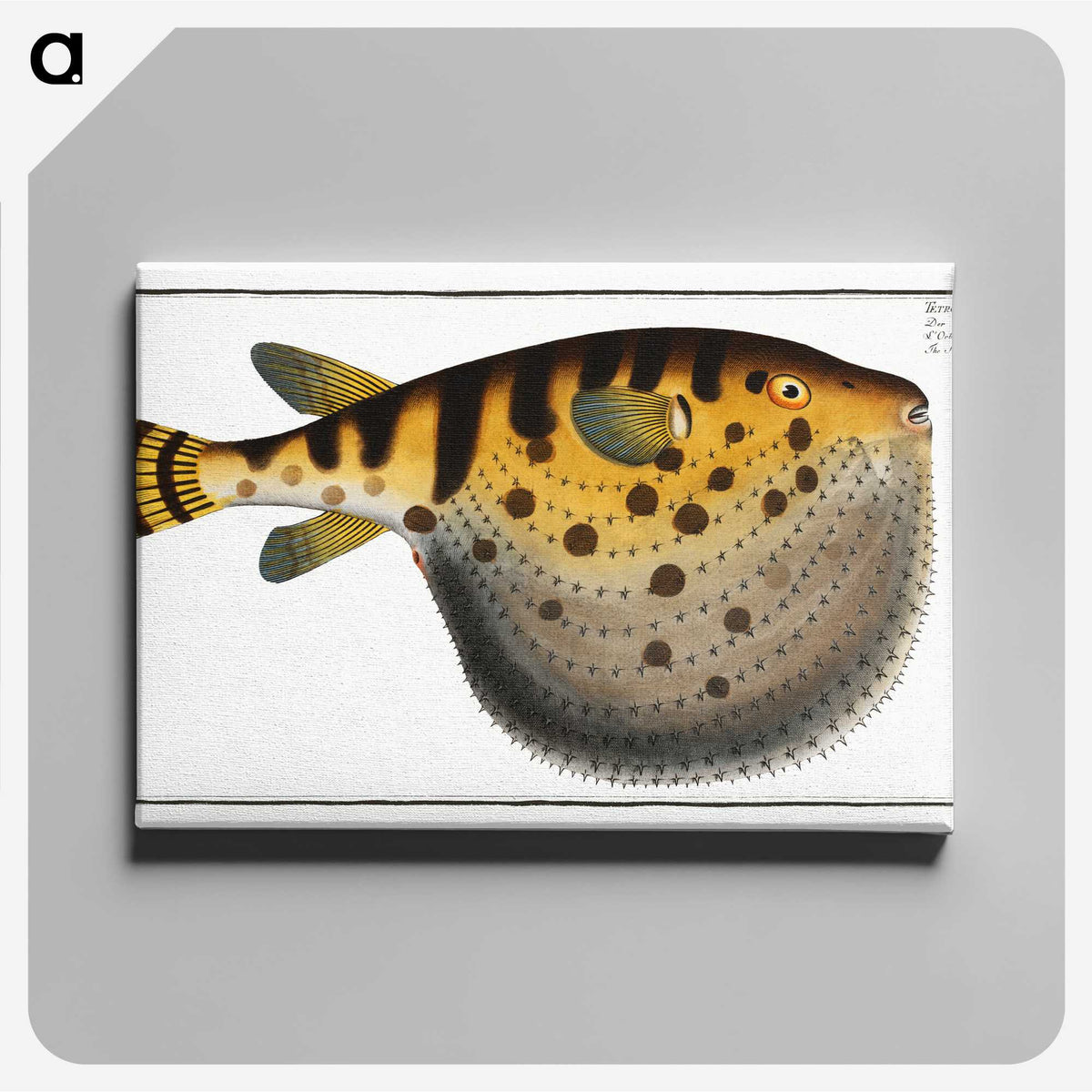 1-38_Ichtyologie-ou-Histoire-naturelle_canvas