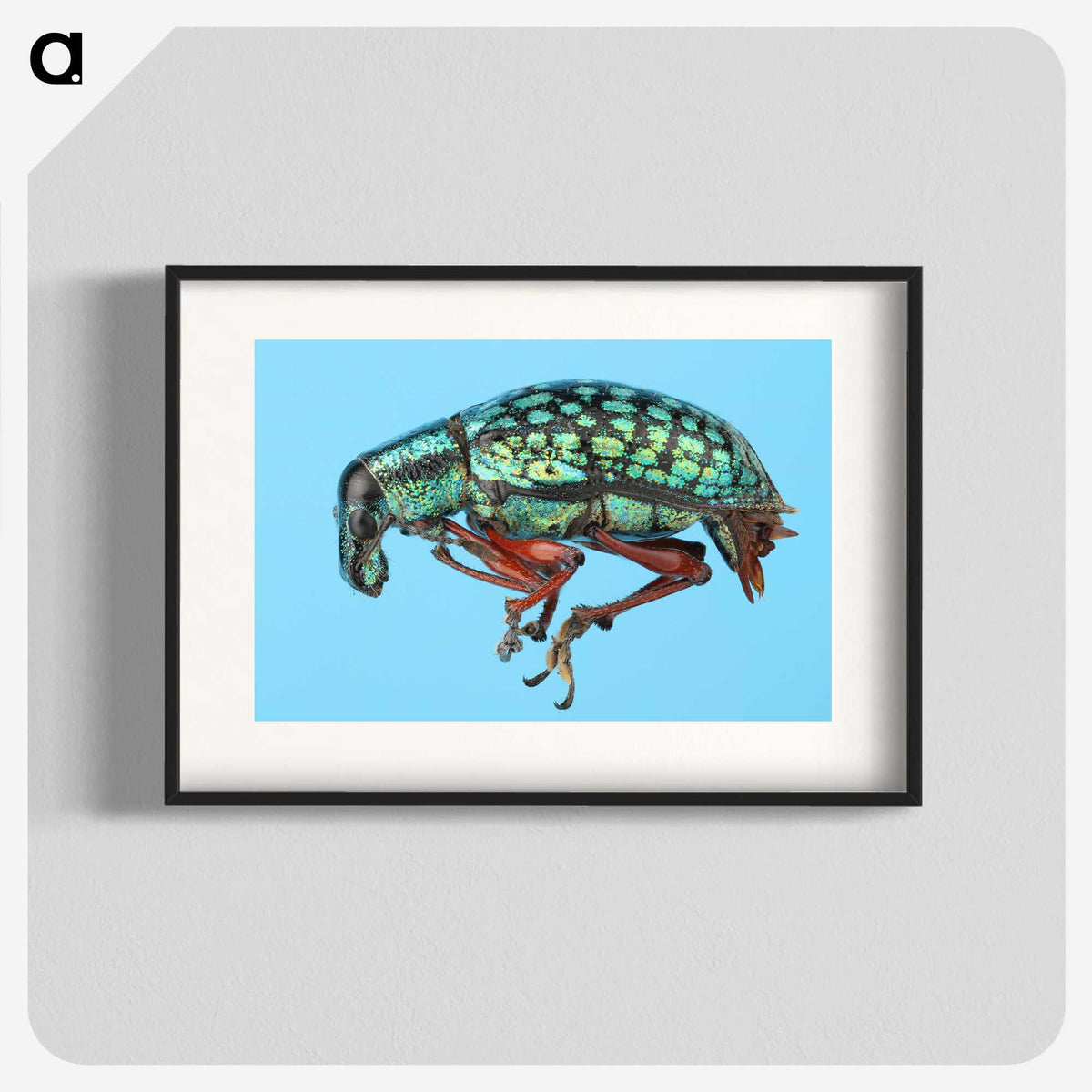1-38_Insects-Unlocked-Project_blk