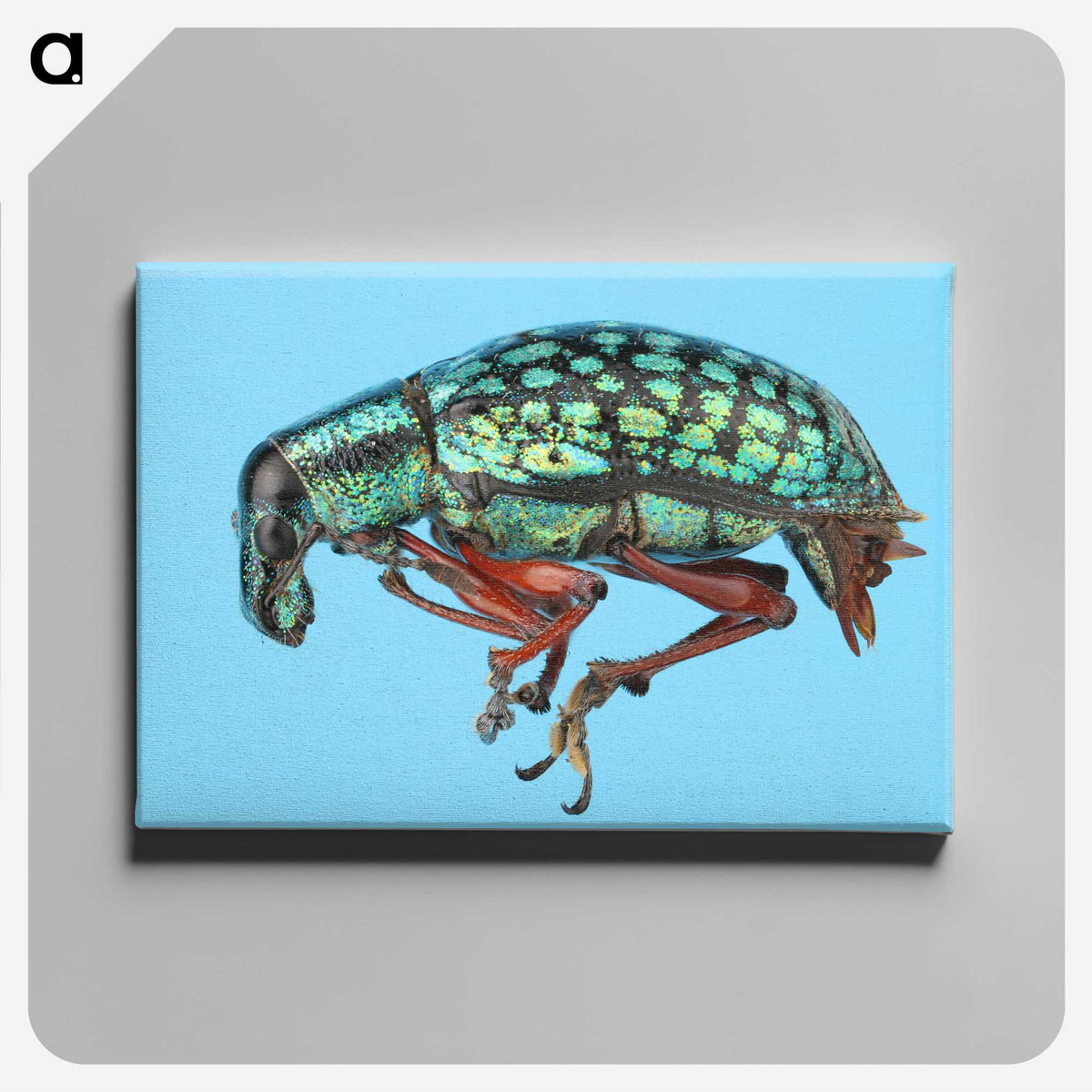 1-38_Insects-Unlocked-Project_canvas