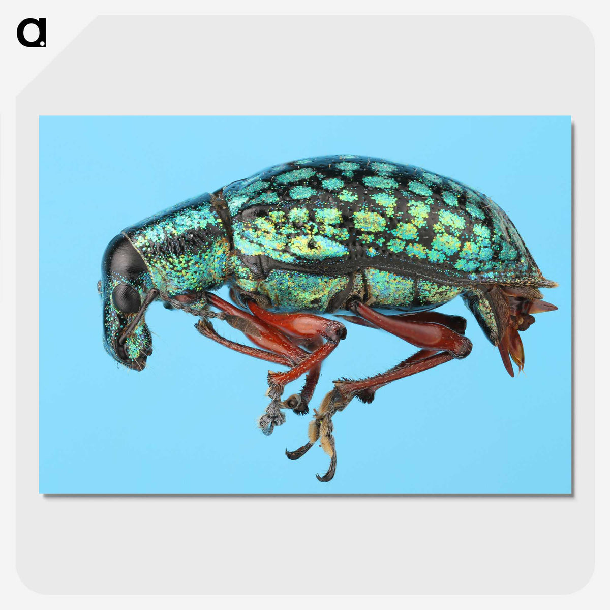 1-38_Insects-Unlocked-Project_picture-crop