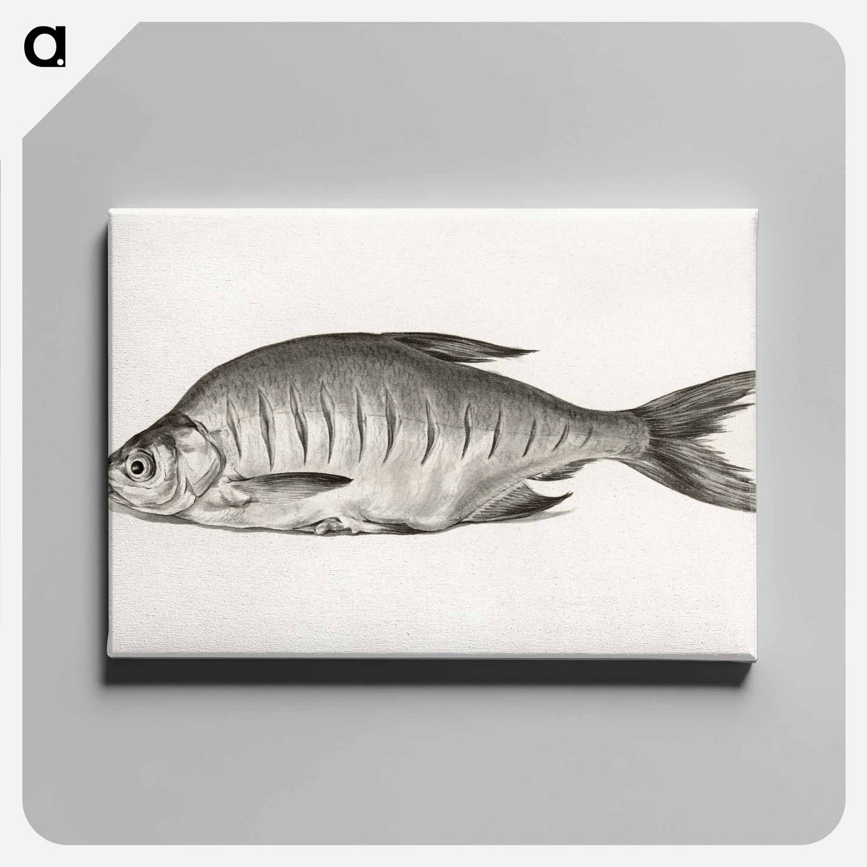 アートパネル-Fish - ジャン ベルナール Canvas.