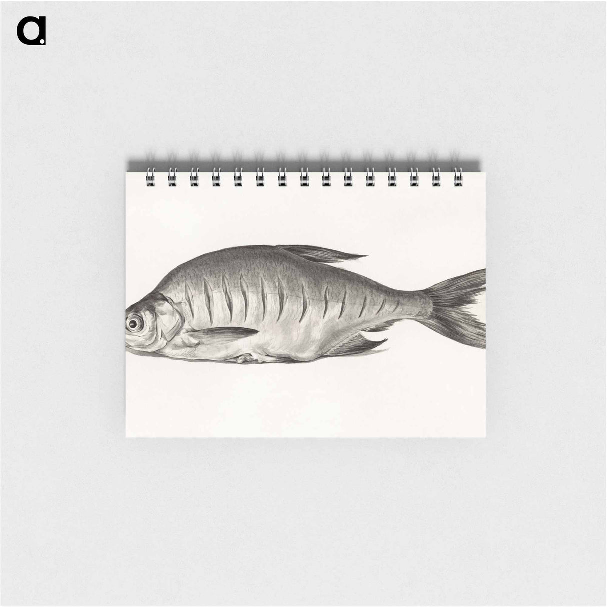 Fish - ジャン ベルナール Memo.