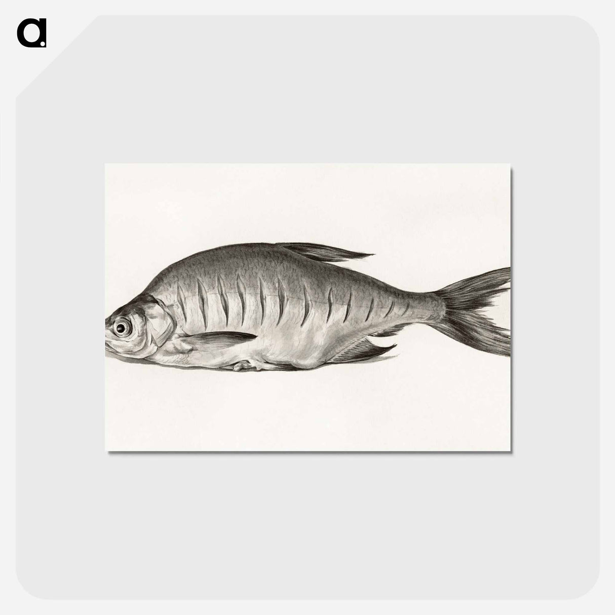 アートポストカード-Fish - ジャン ベルナール Postcard.
