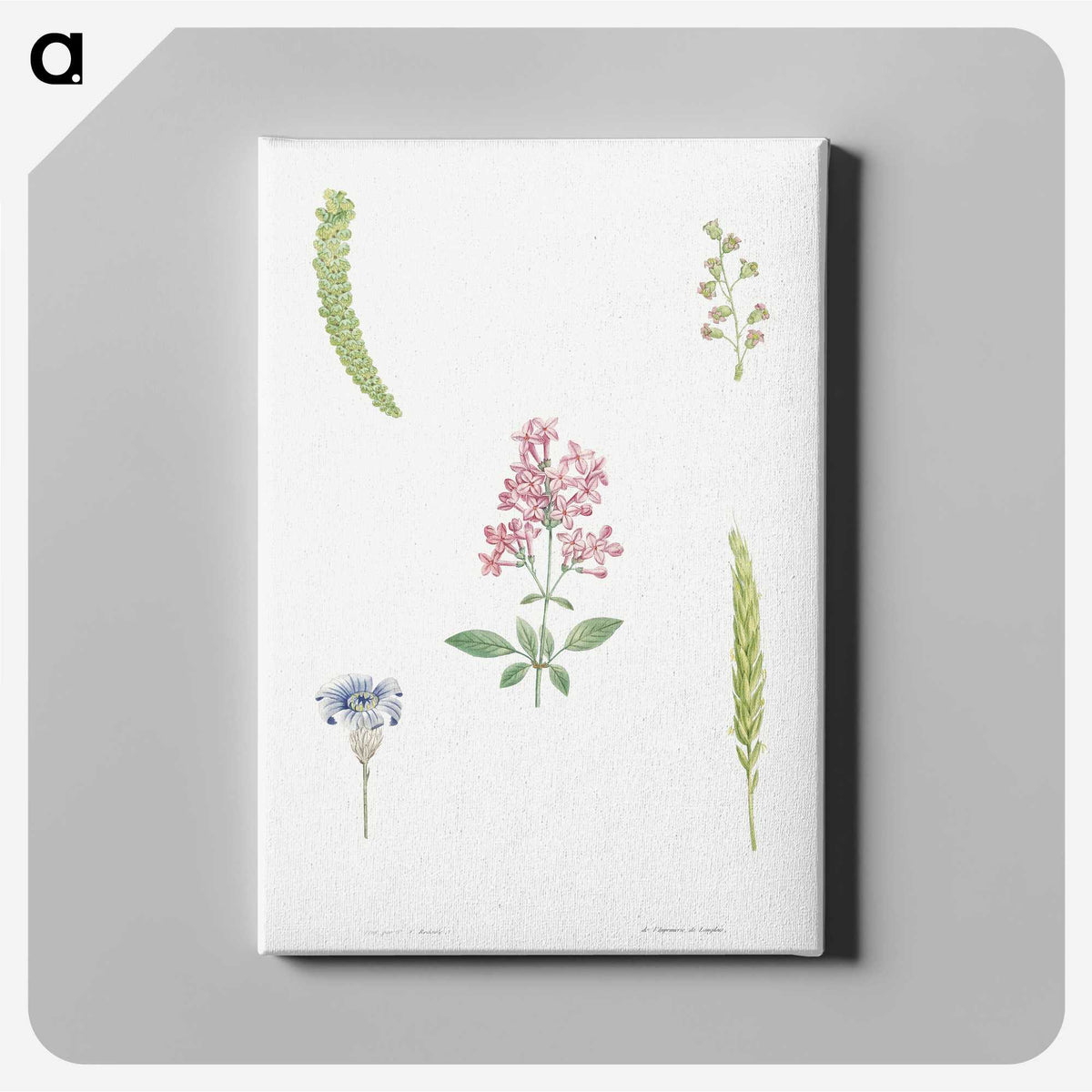 1-38_La-Botanique_canvas