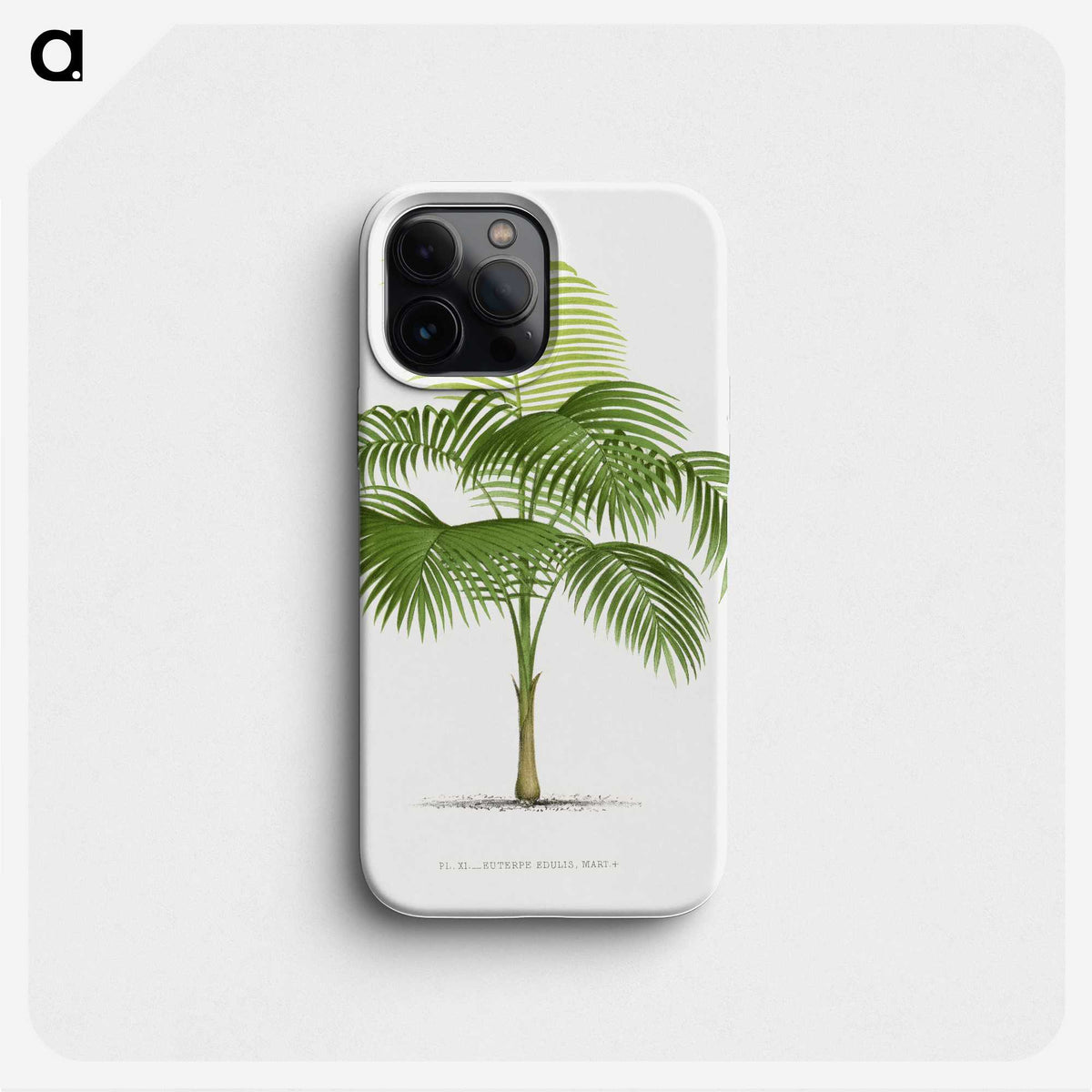 1-38_Les-Palmiers-Histoire-Iconographique_phone