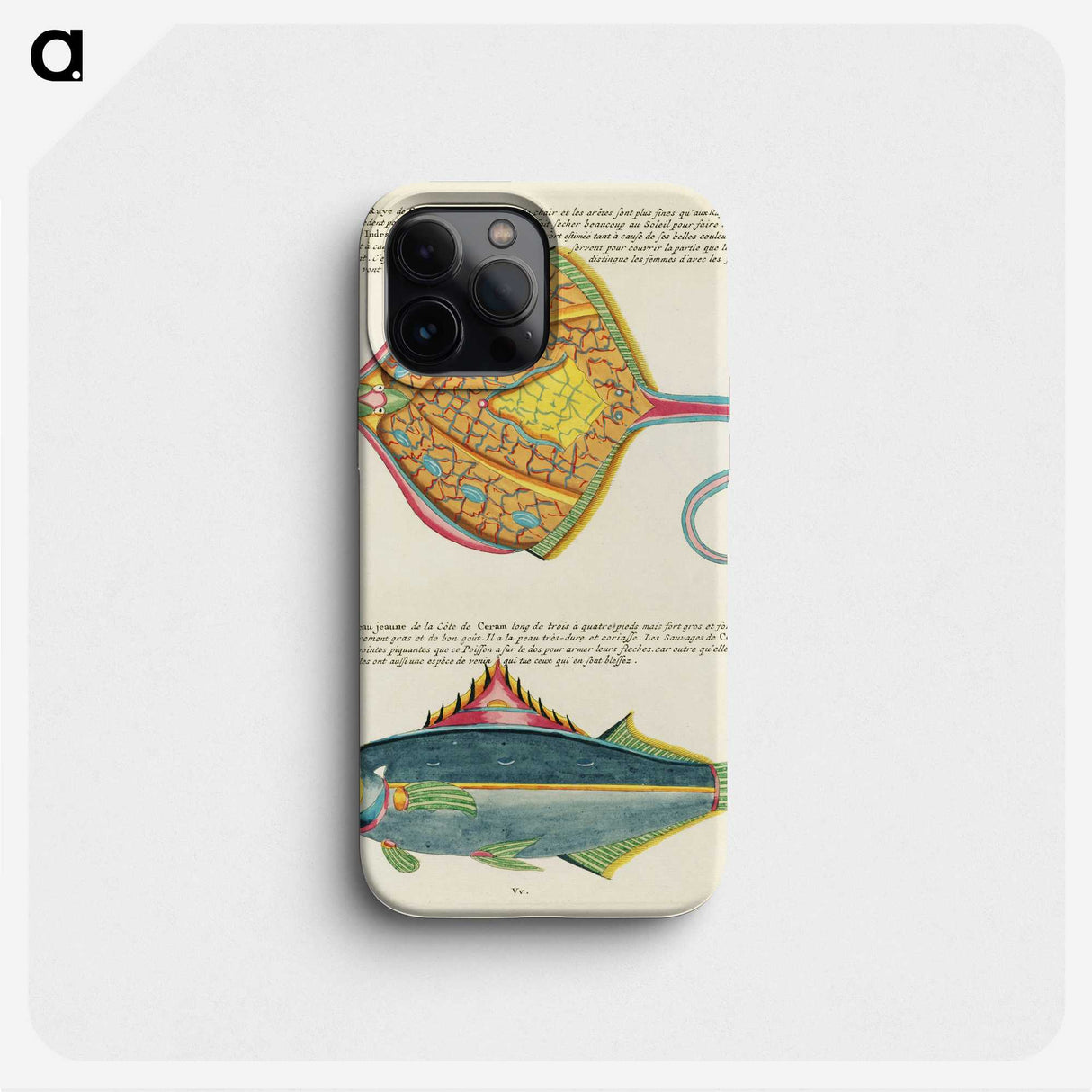 1-38_Louis-Renard_phone
