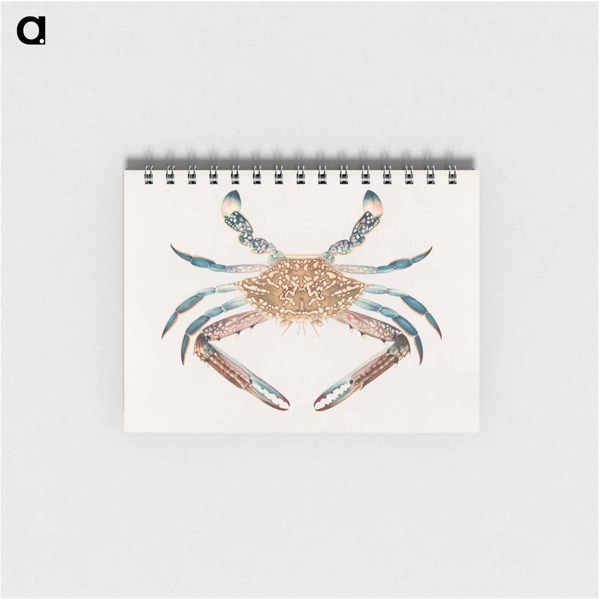 Blue Crab
- ルイージ バルガーニ Memo.