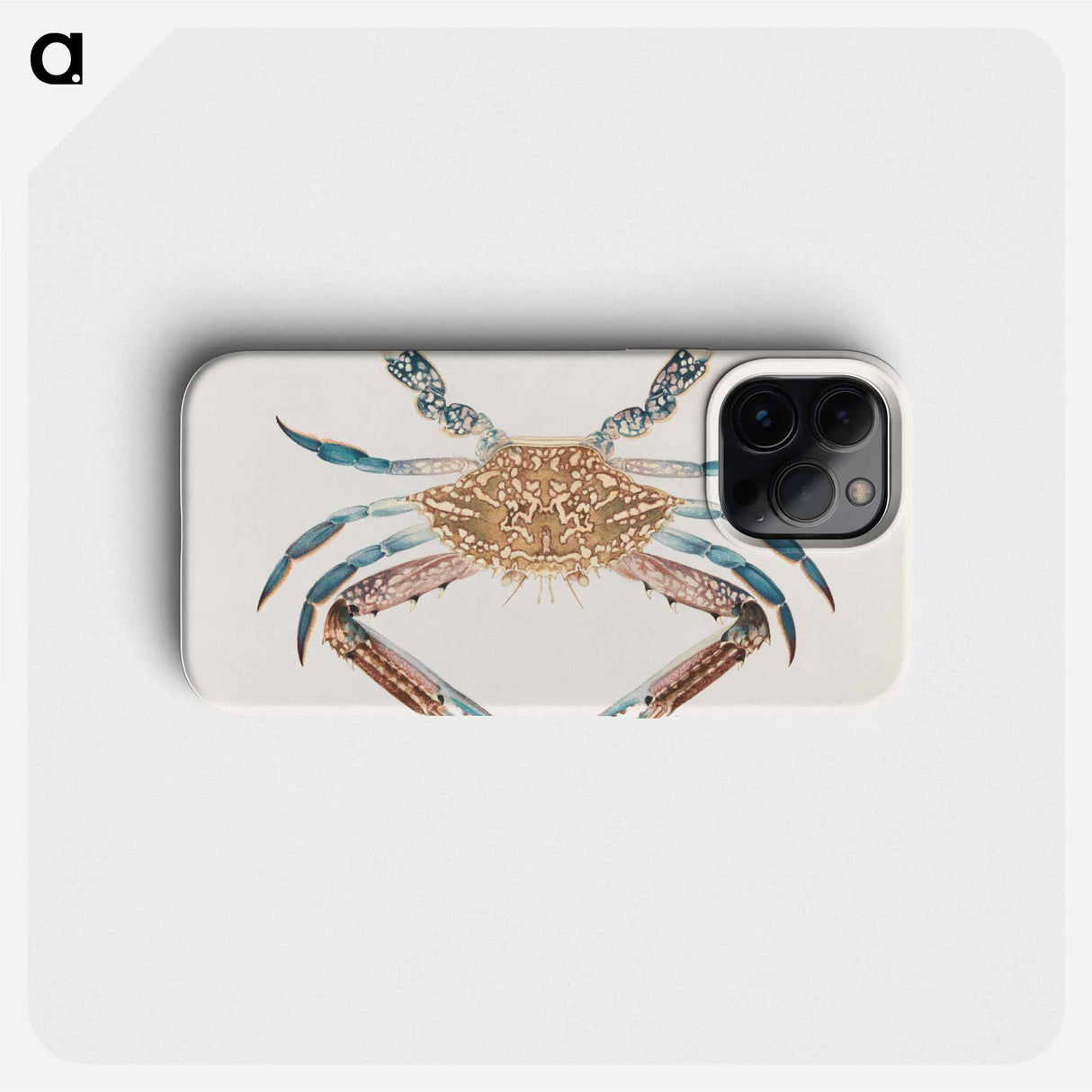 Blue Crab
- ルイージ バルガーニ Phone Case.