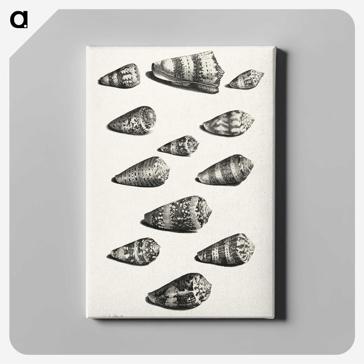 1-38_Maria-Sibylla-Merian_canvas
