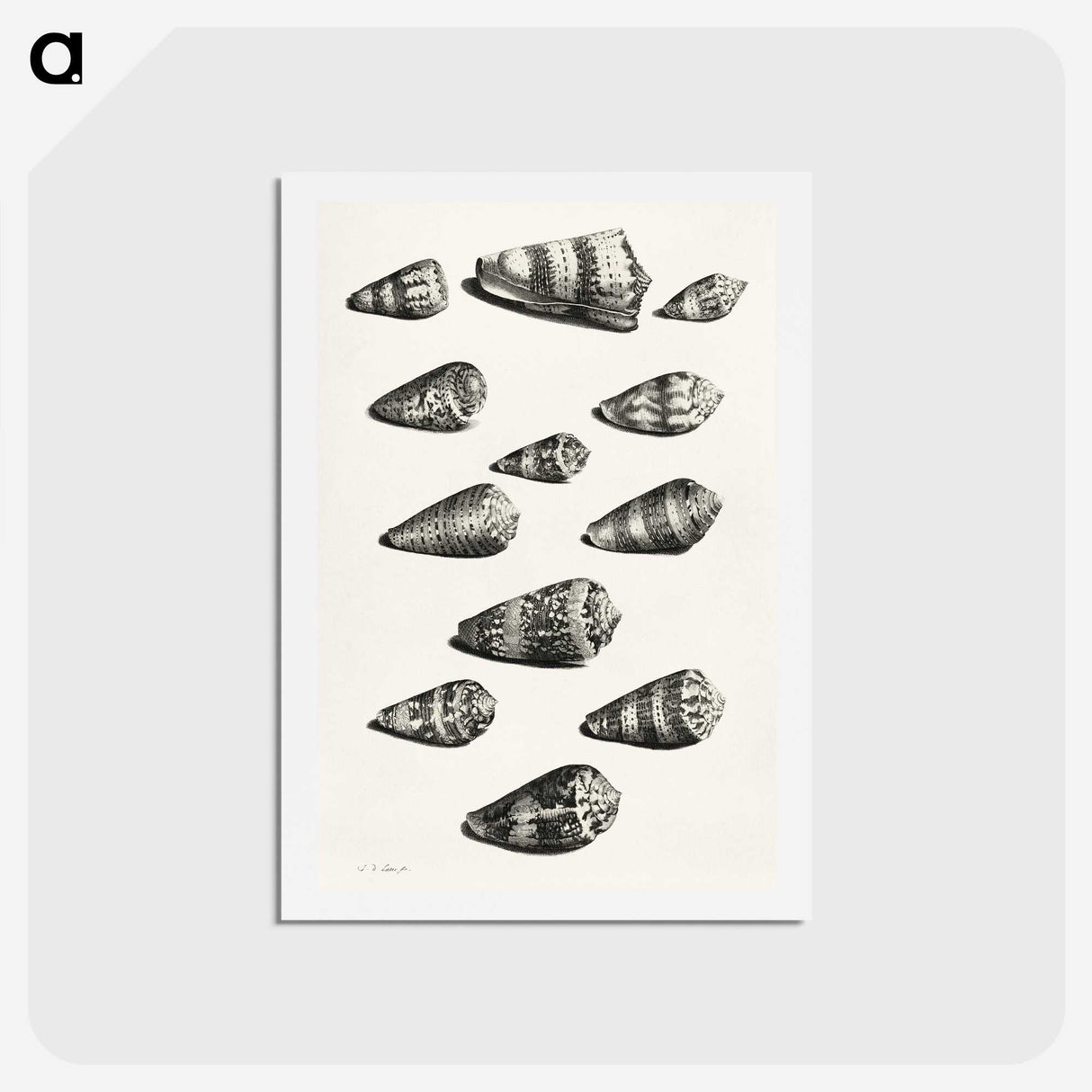 1-38_Maria-Sibylla-Merian_hagaki