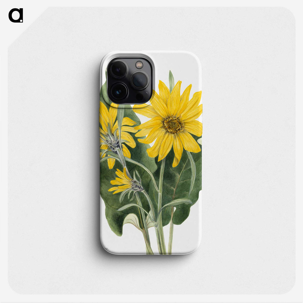 1-38_Mary-Vaux-Walcott_phone