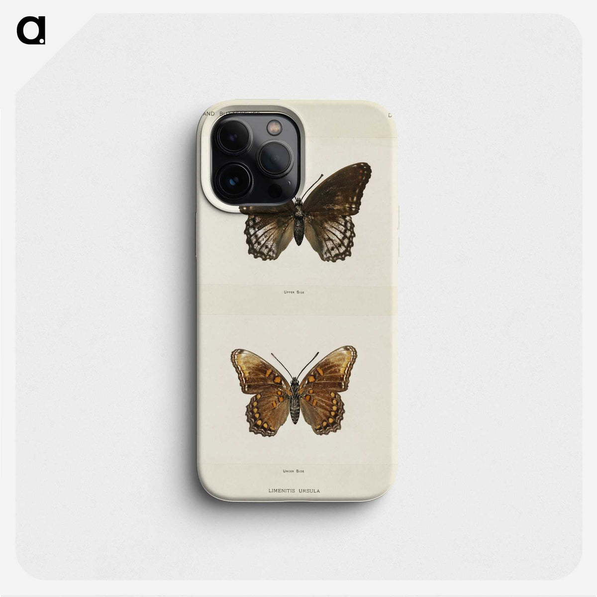 1-38_Moths-and-Butterflies-of-the-United-States_phone