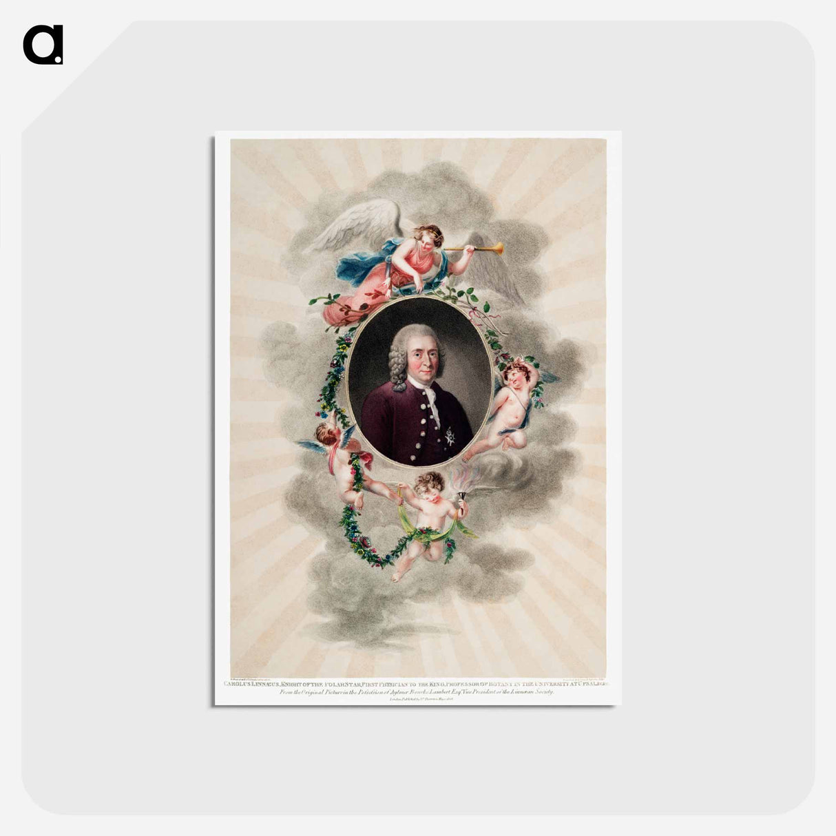 アートポストカード-Carl Linnaeus from The Temple of Flora
- ロバート ジョン ソーントン Postcard.