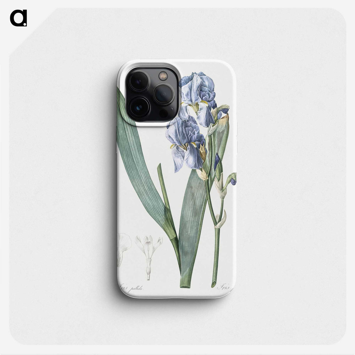 1-38_The-Lilies_phone