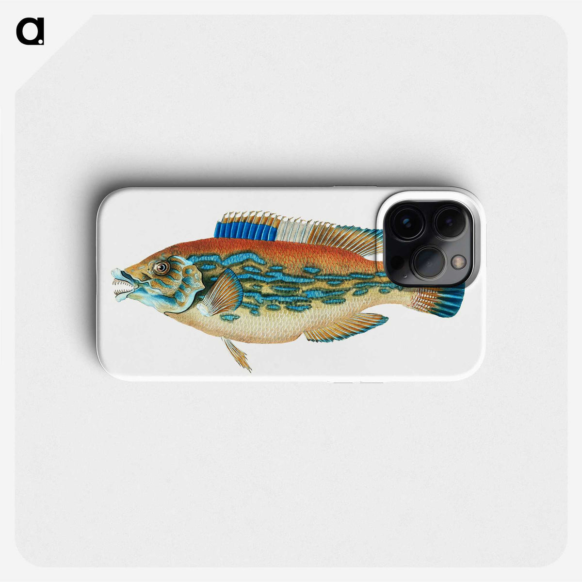 1-38_The-Natural-History-of-British-Fishes_phone