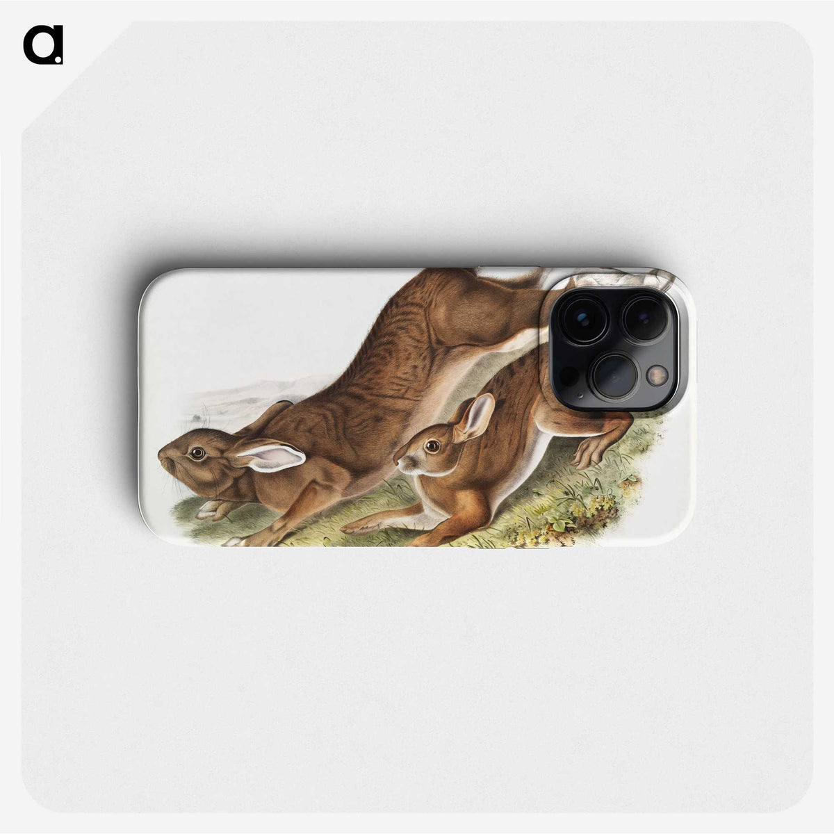 1-38_The-Viviparous-Quadrupeds_phone