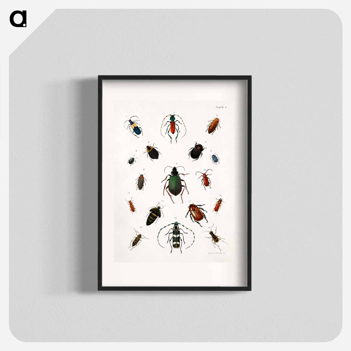 Colored beetles, landscape - アボット ハンダーソン セイヤー Poster.