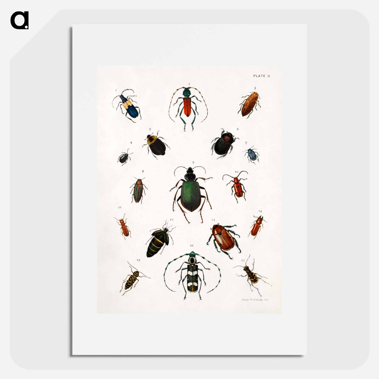 Colored beetles, landscape - アボット ハンダーソン セイヤー Poster.